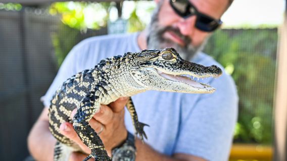 Florida Everglades Adventure Package