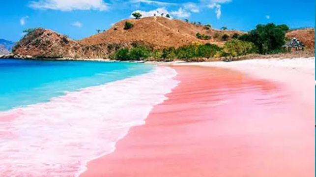 1日遊探索科莫多龍最佳目的地，並於Manta Point浮潛