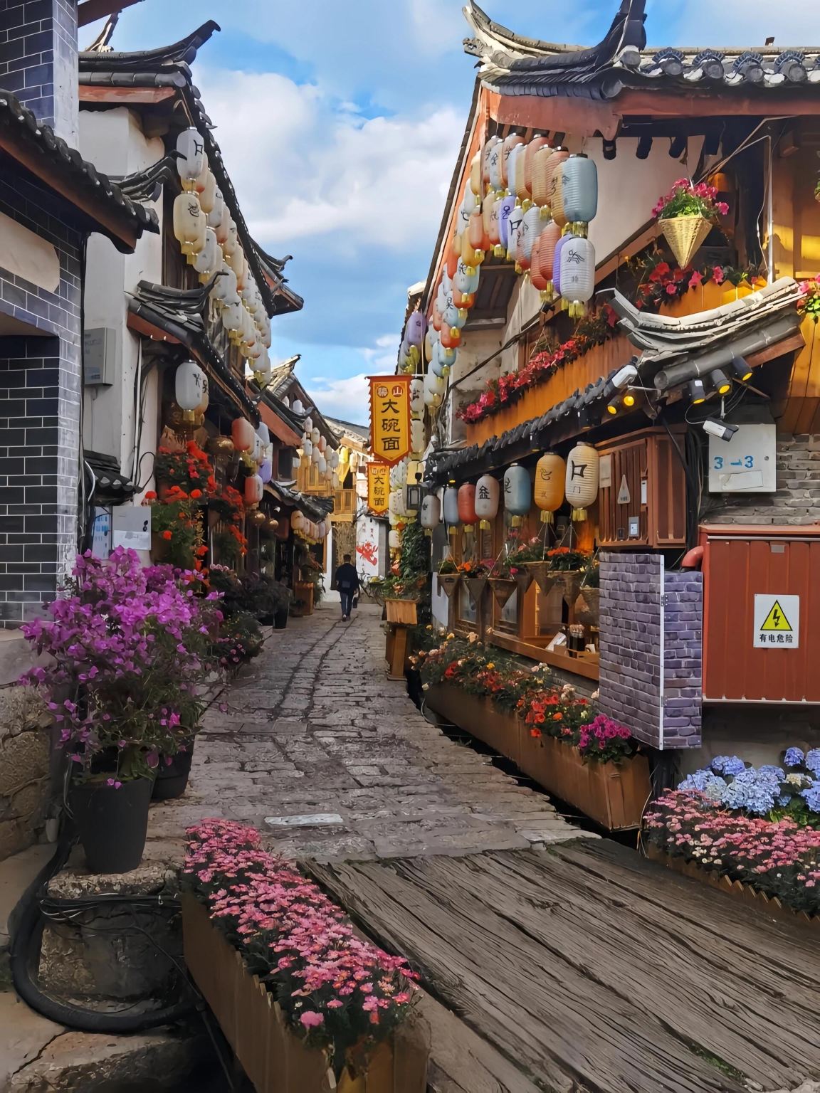 Lijiang Old Town District, Yunnan - Translation/Guide/Local Guide - Citywalk|Attraction visits|English/Russian/French/Other Languages|Welcome to inquire