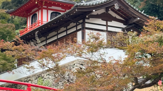 Tour di un giorno nei dintorni di Osaka: Tempio Katsuo-ji + Cascate di Minoo + Parco del castello di Osaka