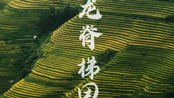 LongshengTours