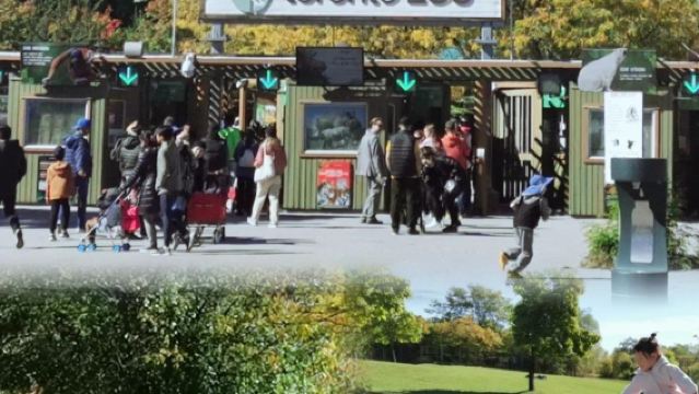 Pakej Pelancongan Keluarga Sewaan Kereta Sehari ke Universiti Toronto + Pusat Sains Ontario + Zoo Toronto