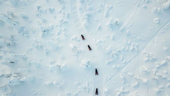 Rovaniemi: safari di un giorno intero in motoslitta nella natura selvaggia