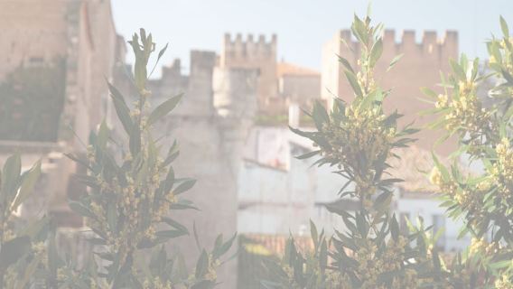 Cáceres: Recorrido a pie por lo más destacado de la ciudad con guía local