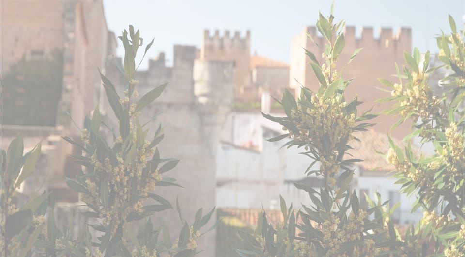 Cáceres: Recorrido a pie por lo más destacado de la ciudad con guía local