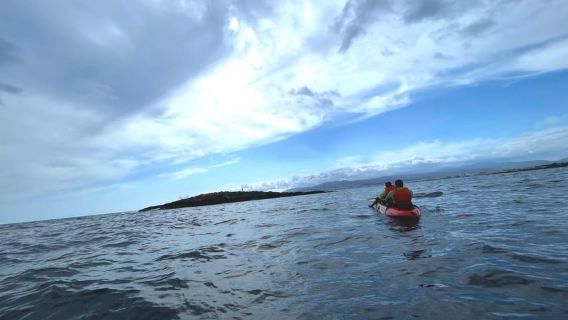 Tour en Kayak por la Bahía de Palma