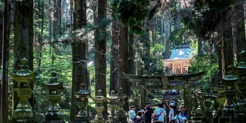 從福岡出發:宮崎、高千穗峽及神社日遊