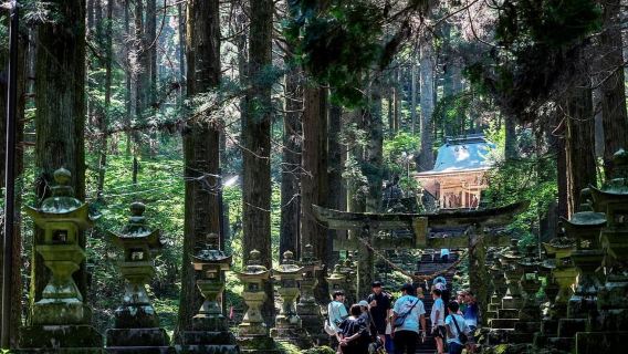 Fukuoka: Miyazaki, Takachiho Gorge with optional boat/Lunch