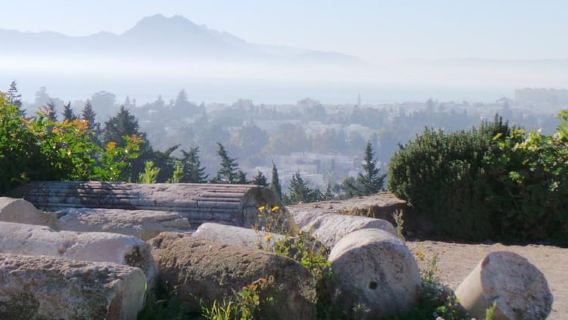 From Tunis/Sousse: Medina Carthage, Sidi Boussaid Tour