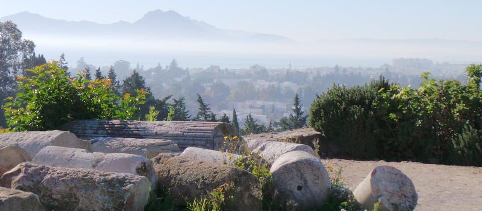 從突尼斯/蘇塞出發：迦太基麥地那、西迪布賽德之旅