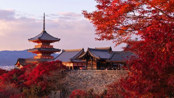 perjalanan satu hari ke Kuil Kiyomizudera + Kuil Yasaka + Taman Nara + Kuil Fushimi Inari Taisha di Kyoto, Jepang