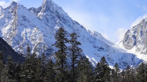 Bipenggou 1-Day Tour [2-7 Person English Small Group | No Shopping | Round-Trip from Chengdu]