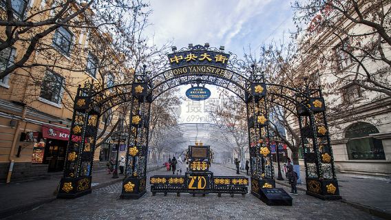 Recorrido de un día por Harbin: Catedral de Santa Sofía, Isla del Sol y Calle Central (Servicio en chino)