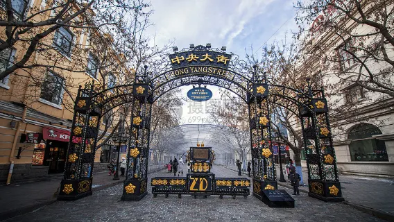 Harbin Day Tour: Saint Sophia Cathedral, Sun Island, and Central Street (Chinese Service)