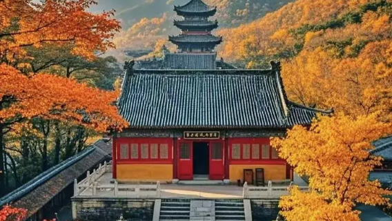 Nanjing Fall Foliage Tour: Qixia Mountain Scenic Area + Taiping Heavenly Kingdom History Museum + Yuejiang Tower