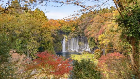 光影與湖山/四季限定：輕井澤湖光楓紅藝術遊