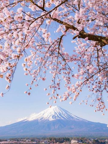 日本境內/中文導遊/地陪嚮導/旅遊翻譯/商務翻譯/景區講解