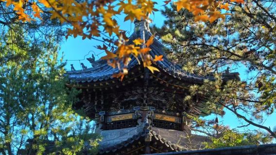 진사(진츠)+산시 박물관+류항 거리(리우샹)