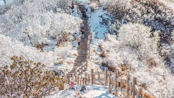 成都出發：【單程送】【西嶺雪山|賞雪|滑雪|睇日落|浸溫泉