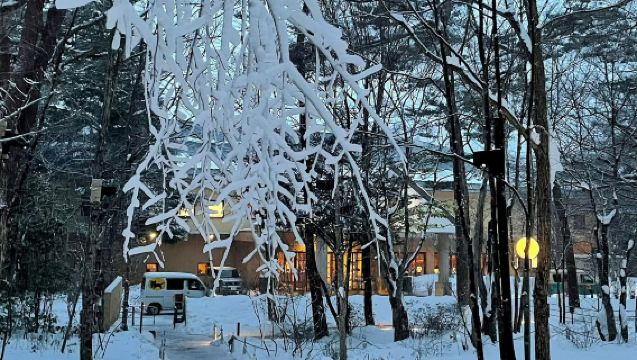 客製化東京—輕井澤雲湯池+千住博美術館【中文司機+飯店接駁】