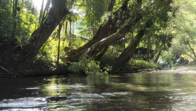 汶萊烏魯淡布國家公園一日遊（預約門票+包車接駁）