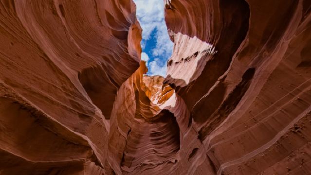 Tour di Upper, Lower o X Antelope Canyon, Horseshoe Bend e pranzo