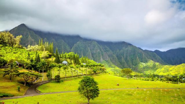 Pakej Pelancongan Terbaik Oahu, Hawaii: Pusingan Pulau Besar + Pulau Topi Jerami + Pantai Sunset [Perkhidmatan Bahasa Cina]
