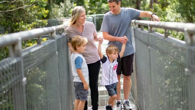 Avventure sugli alberi di Illawarra Fly: passeggiata tra le cime degli alberi