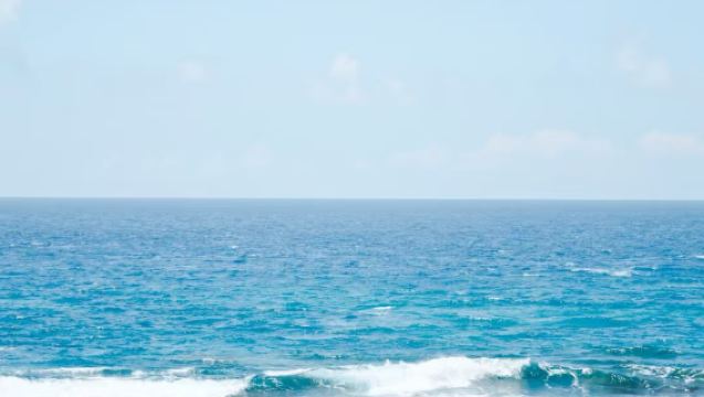 台灣高雄＆墾丁國家公園＋鵝鑾鼻燈塔＋龍磐公園一日遊／行程可調