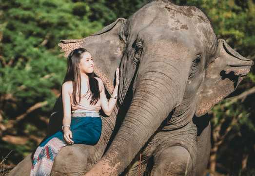 Chiang Mai Lanna Elephant Sanctuary + Night Safari 1-day Tour