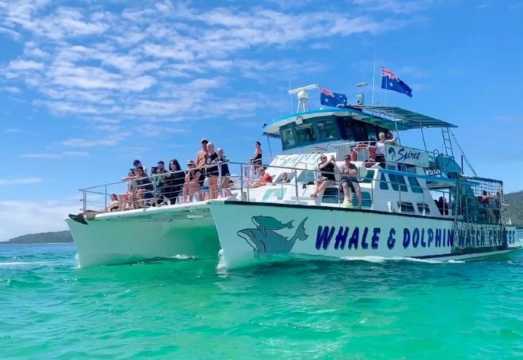 Sydney Port Stephens Whale and Dolphin Watching Cruise (Spot Bottlenose Dolphins/Optional Sandboarding/Port Stephens + Optional Buffet Lunch Add-on) AUD 41.04