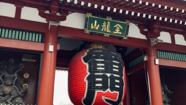 1-day tour in Tokyo: (Sensō-ji - Edo-Tokyo Museum - Ueno Park - TOKYO SKYTREE) tickets not included