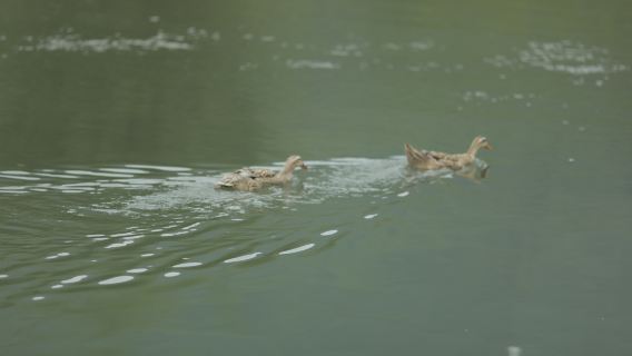 青銅峡Tripメモリー【フォローショット・親子・家族・個人・カップル写真・ショートビデオ・プロモーションビデオ・ポートレート・ウェディングフォト・ネガフィルム全データ付き翻訳】