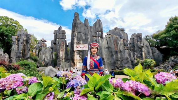 Private travel services for Kunming Shilin stone forest scenic area and Pu'er tea tasting in Yunnan, China