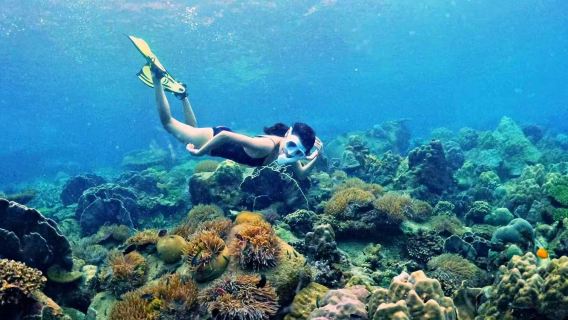Vietnam : Plongée et snorkeling de 6 heures à Phu Quoc et aux îles An Thới [Croisière sur mer d'émeraude + exploration de deux récifs + merveilles coralliennes + expérience immersive de snorkeling]