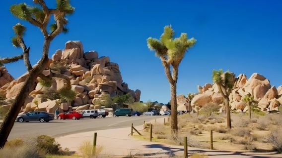 Pakej Pelancongan Eksklusif Sewaan Peribadi Los Angeles, Amerika Syarikat Pergi-Balik - Taman Negara Joshua Tree - Desert Hills Premium Outlets - Tanpa Keresahan