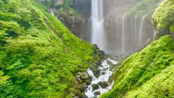 1-day tour to Tokyo and Nikko round-trip/Tōshō-gū Shrine + Lake Chūzenji + Kegon Waterfalls