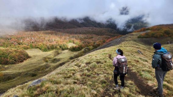 Quetrupillán Volcano Summit Hike with Panoramic Views