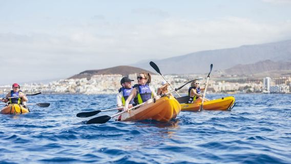 Tenerife: Kayak Safari and Snorkel in a Marine Reserve