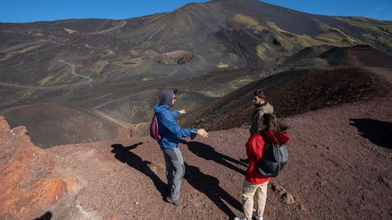 Catania: Etna Morning Excursion with Tasting and Pickup