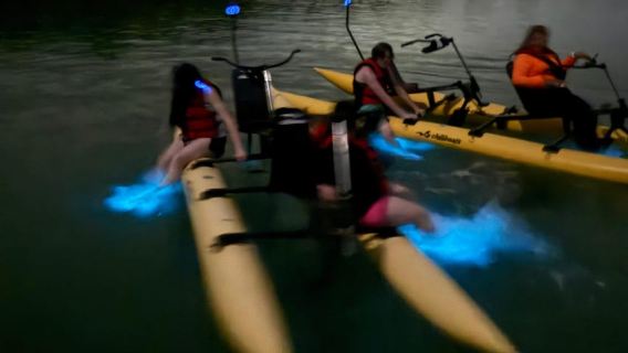La Parguera: Bioluminescent Bay Water Bike Tour