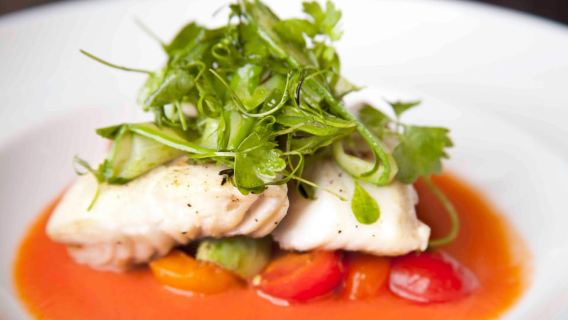 Vegan Fine Dining Experience