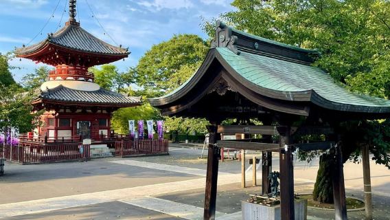 Historic Town of Kawagoe – Small town of Edo 3-Hour Walking Tour