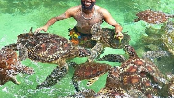 Swim with turtles at Salaam cave & The rock restaurant visit