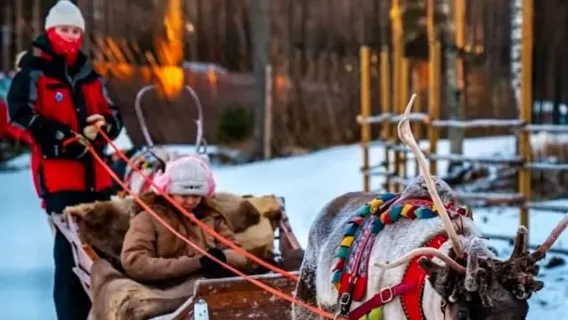 Dreifaches Wintererlebnis im Norden: Schneemobil + Rentierschlitten + Husky-Schlitten