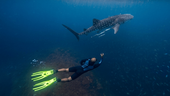 Muscat: Daymaniyat Islands Snorkeling Trip + BBQ-style meal