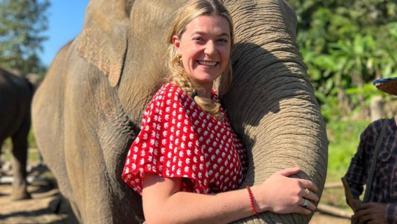 Dagsutflykt i Chiang Mai: Maewang Elephant Camp + Doi Inthanon berg, kinesisk och engelsk guide, liten grupp på 12 personer