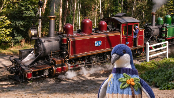 [Særlig tilbud] Dagsudflugt til Melbourne med Puffing Billy-damptog + Phillip Island (Pingvinøen)
