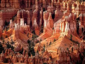 1-Day Zion & Bryce Canyon National Park Bus Tour