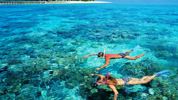 Phu Quoc IslandTour with Carpool